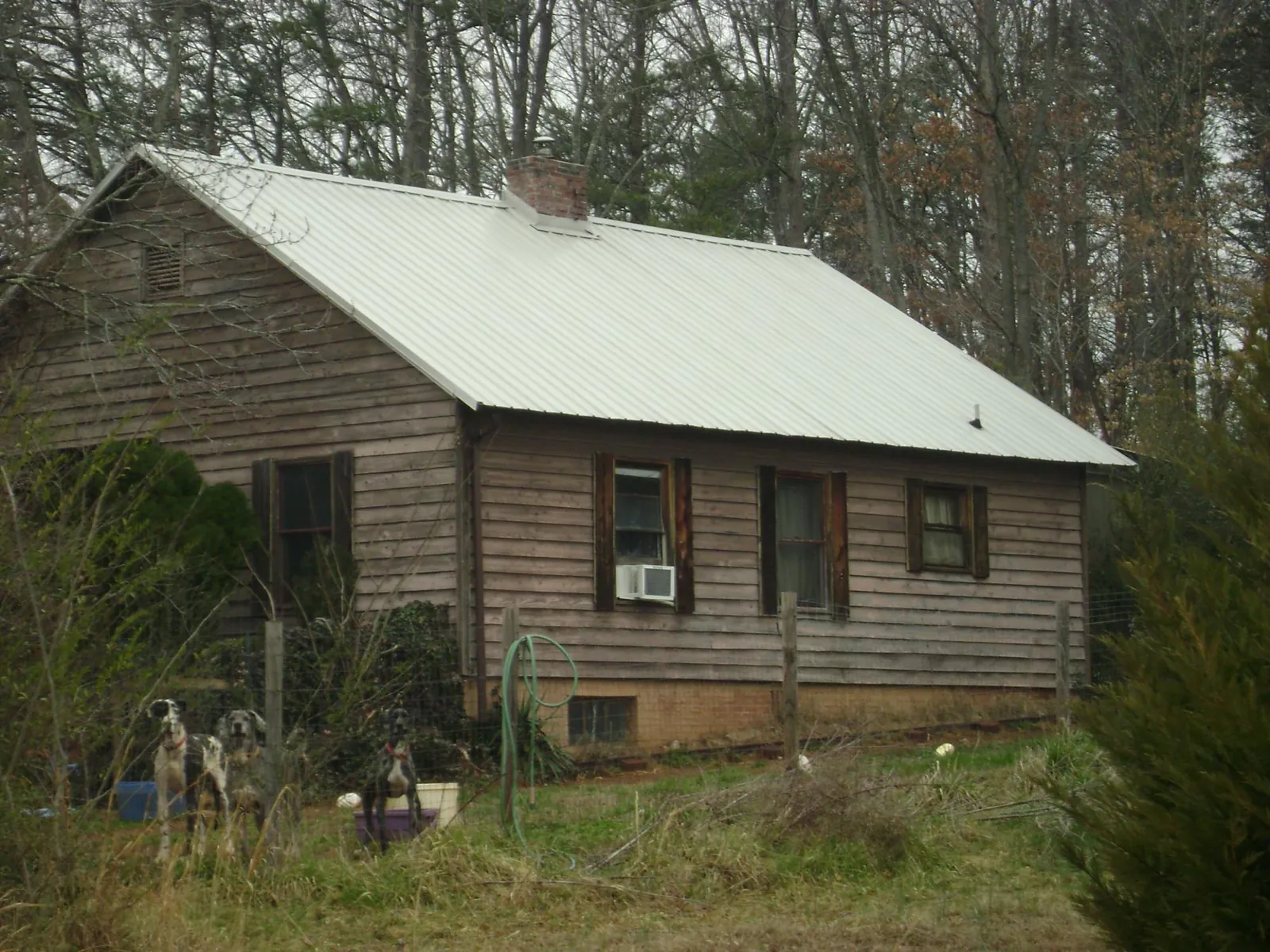 White metal roof on an old wood sided farmhouse, from a Asphalt Shingle Roof Repair job in Oroville